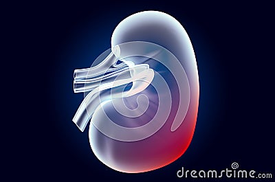 Pain in Kidney concept. Ghost light effect, x-ray hologram. 3D rendering Stock Photo