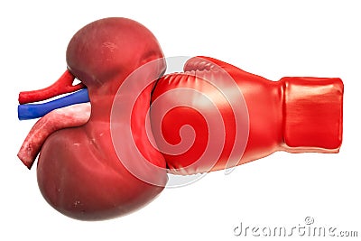 Pain in kidneys, chronic kidney disease concept. Kidney with box Stock Photo