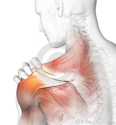 Painful shoulder joints. Frozen shoulder, Impingement. 3D illustration Stock Photo