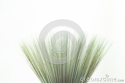 paint Brush with synthetic hair, soft focus Stock Photo