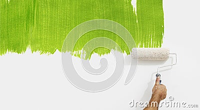 Paint roller hand painting green color isolated on blank wall Stock Photo