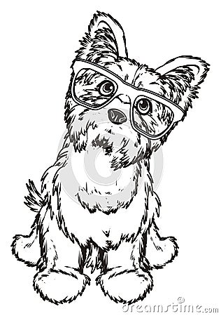 Paint yorkie in glasses Stock Photo
