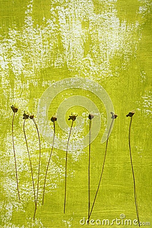 Painted background and dried flowers Stock Photo