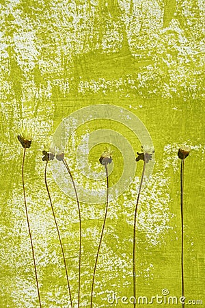 Painted background and dried flowers Stock Photo