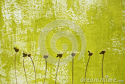 Painted background and dried flowers Stock Photo