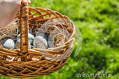 Painted blue textured easter eggs in wicker brown hand made basket. The concept of the spring holiday and egg hunting. Stock Photo