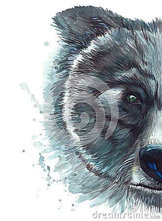 Painted drawing with a watercolor printshop portrait of a bear head Vector Illustration