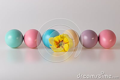 Painted Easter Eggs Straight Line Yellow Flower Gray Background Stock Photo