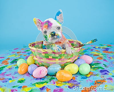 Painted Easter Puppy Stock Photo