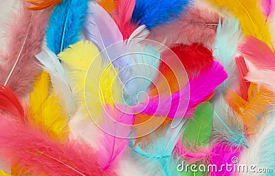 Painted Feathers Stock Photo