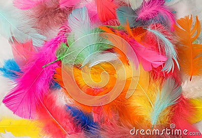 Painted Feathers Stock Photo