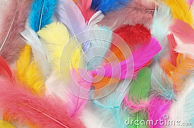 Painted Feathers Stock Photo