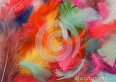 Painted Feathers Stock Photo