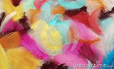 Painted Feathers Stock Photo