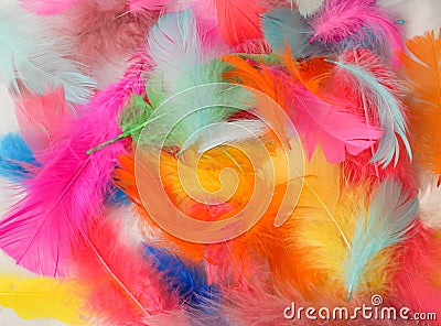 Painted Feathers Stock Photo