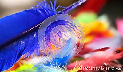 Painted Feathers Stock Photo