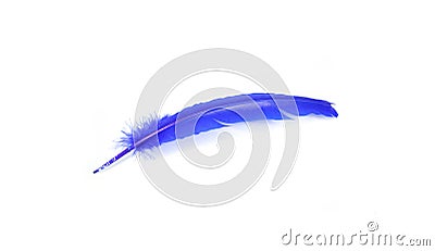 Painted Feathers Stock Photo