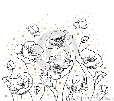 Painted floral frame with black and white poppies and butterflies with gold dots in art line style Vector Illustration