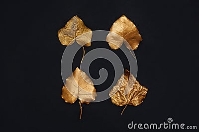 Painted gold autumn leaves on black background Stock Photo