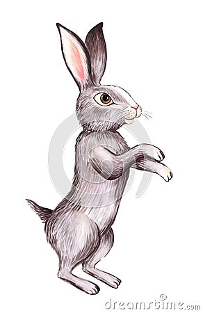 A painted gray hare stands on its hind legs Stock Photo
