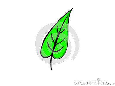 Painted green leaf Stock Photo