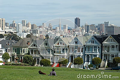 Painted ladies Stock Photo