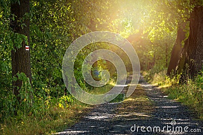 Painted mark for tourist, hikers and trekkers. Method of navigation on touristic routes and paths. Stock Photo