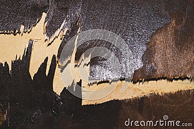 Painted wooden background. wood texture Stock Photo