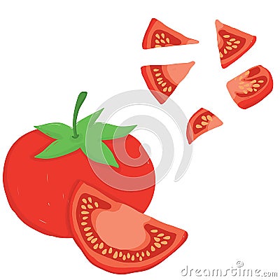 Painterly vector set of tomatoes, raw and sliced. Vector Illustration