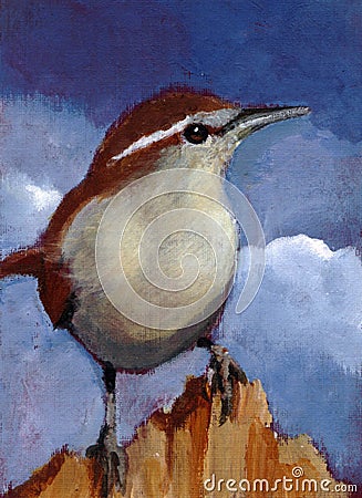 Painting of Bewick's Wren in Acrylic Stock Photo