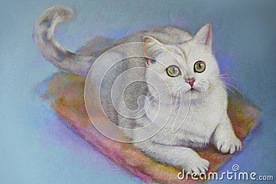 Painting cat british shorthair Stock Photo