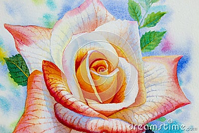 Painting flower orange pink color of roses. Cartoon Illustration