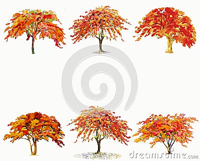 Painting illustration red, orange colors of Peacock flowers Cartoon Illustration