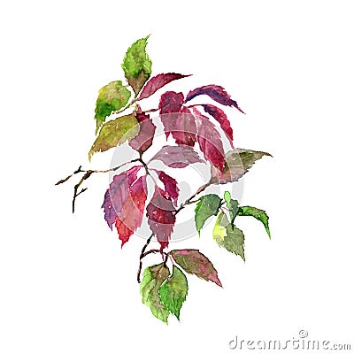 Watercolor leaves. Autumn florals. Floral background. Autumn floral design. Withered pink leaves. Floral greeting card. Stock Photo