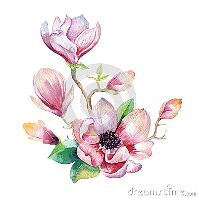 Painting Magnolia flower wallpaper. Hand drawn Watercolor floral Cartoon Illustration