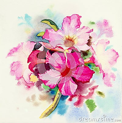 Painting Realistic flower pink color of Impala Lily flower Stock Photo