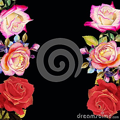 Painting red pink and orange color of roses flowers. Cartoon Illustration