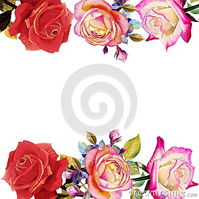 Painting red pink and orange color of roses flowers. Cartoon Illustration