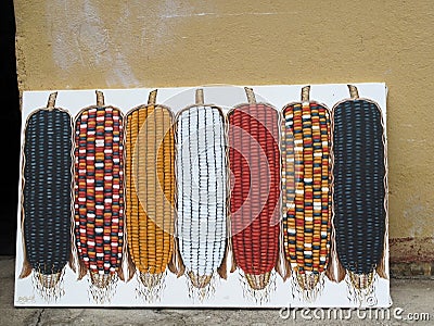 Painting showing dry corncob in different colors, San Juan, Guatemala Stock Photo