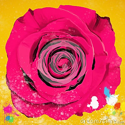 Painting of single rose Stock Photo