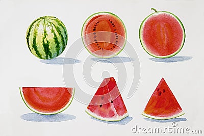 Painting summer watermelon collection, isolated Cartoon Illustration