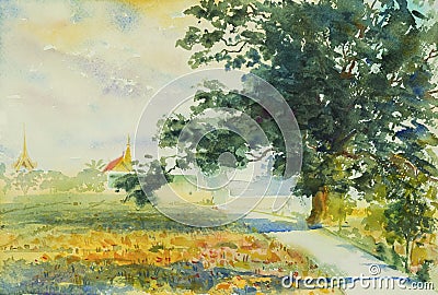 Painting watercolor landscape colorful of rice field,Village view. Stock Photo