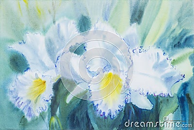 Painting white,yellow color of orchid flower and green leaves Stock Photo