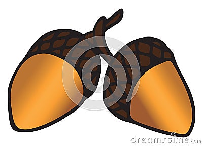 A pair of acron, illustration, vector Vector Illustration