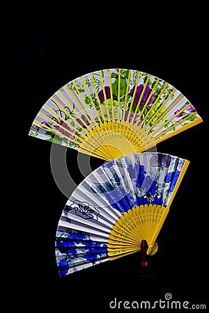 Pair of beautiful chinese folding paper fans against dark background Stock Photo