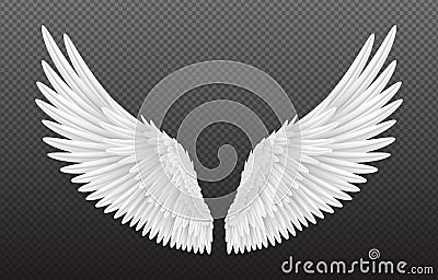 Pair of beautiful white angel wings isolated on transparent background, 3D realistic vector illustration. Spirituality Vector Illustration