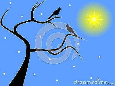 A pair of birds on a bare winter tree Stock Photo