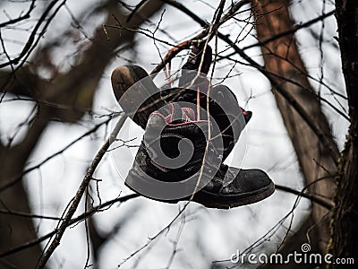 A pair of boots hangs high on a tree. Abandoned old lonely boots Stock Photo