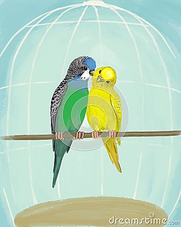 A pair of budgerigars in a cage, illustration Cartoon Illustration