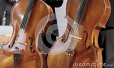 Pair of cellos in an oblique vertical position approximately parallel Stock Photo